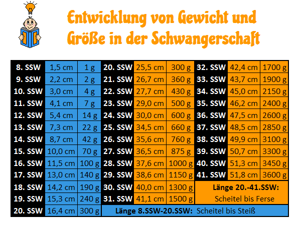 SSW 8: Gewichtszunahme und Größe