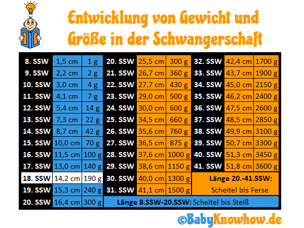 18. SSW: 7 Fragen zu Entwicklung, Bauch & Gewichtszunahme