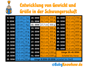 22. SSW: [Video] zum Ultraschall, Entwicklung & Gewichtszunahme