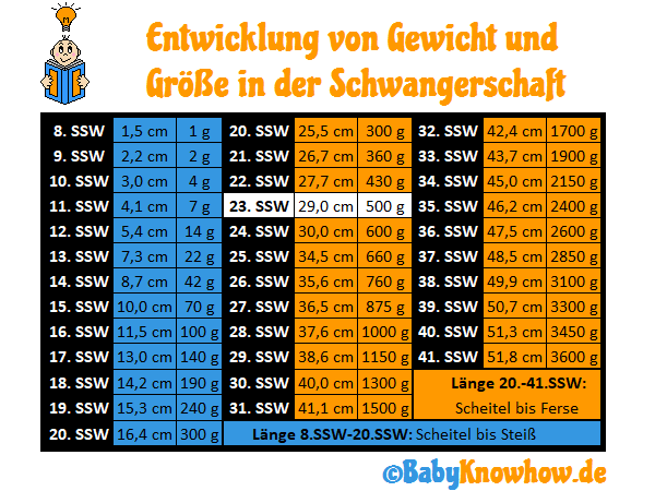 23 Ssw Video Zum Ultraschall Entwicklung Gewichtszunahme